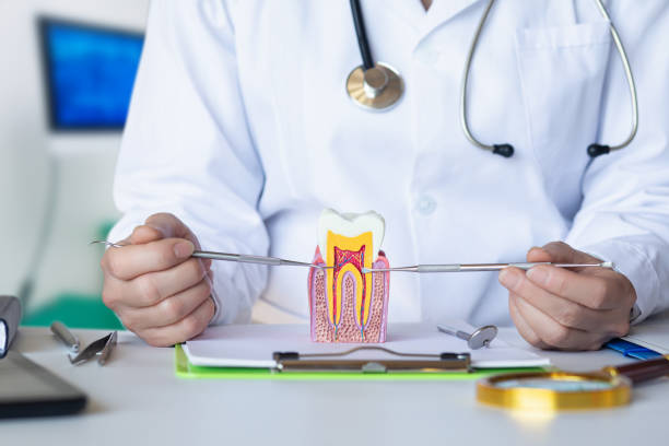 Best Broken or Cracked Tooth Emergency Dentist in Yardville, NJ
